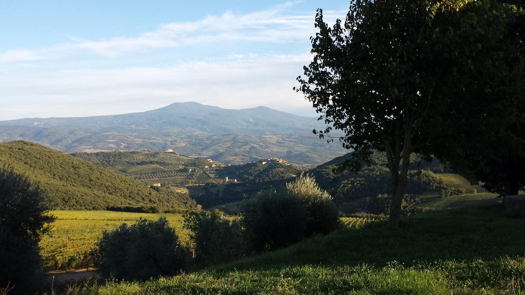 La Casa Di Alice Villa Castelnuovo dell'Abate ภายนอก รูปภาพ